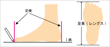 サイズ測り方1