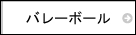 バレーボール
