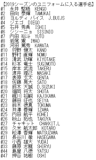 2019 徳島 ヴォルティス ネーム